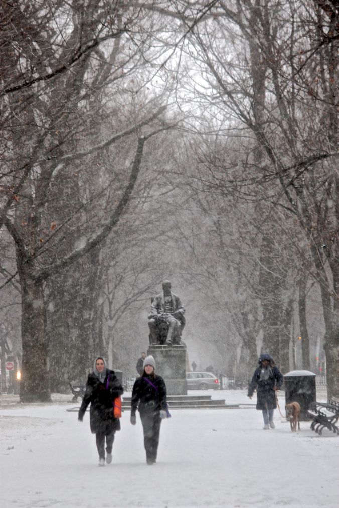 boston commonwealth avenue snow december 14 2