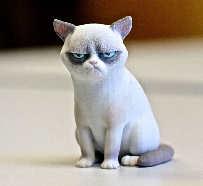 cambridge MIT museum 3D printed grumpy cat