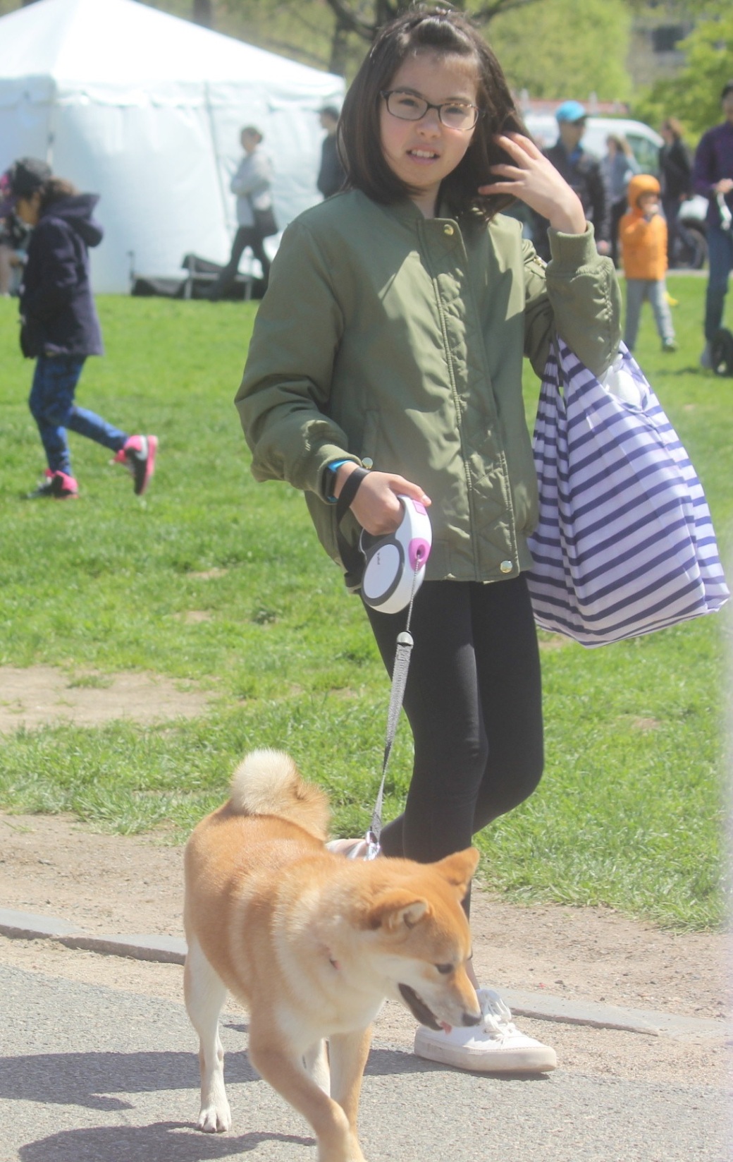 boston japanese festival woman with dog