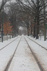 boston beacon street january 20 2019 snow 17