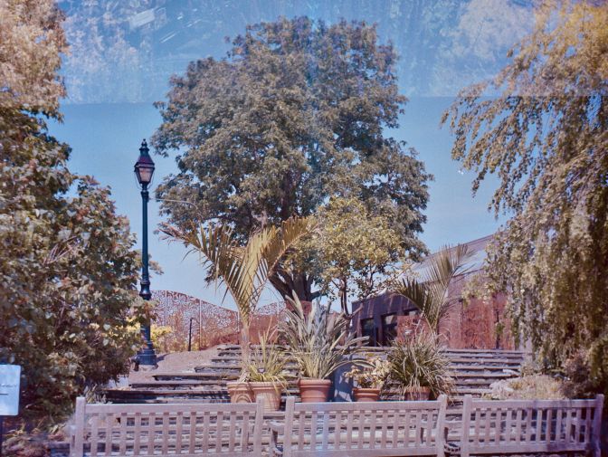 massachusetts tower hill botanical garden lubitel expired 120 film portra 7